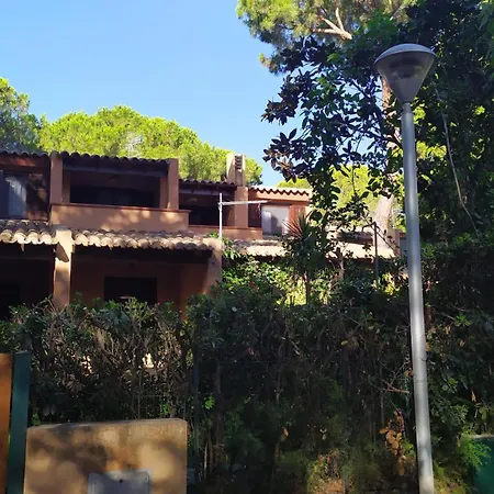 Alessandro Daire Pula